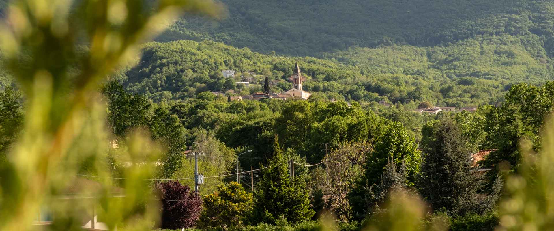 Velum House B&B - About