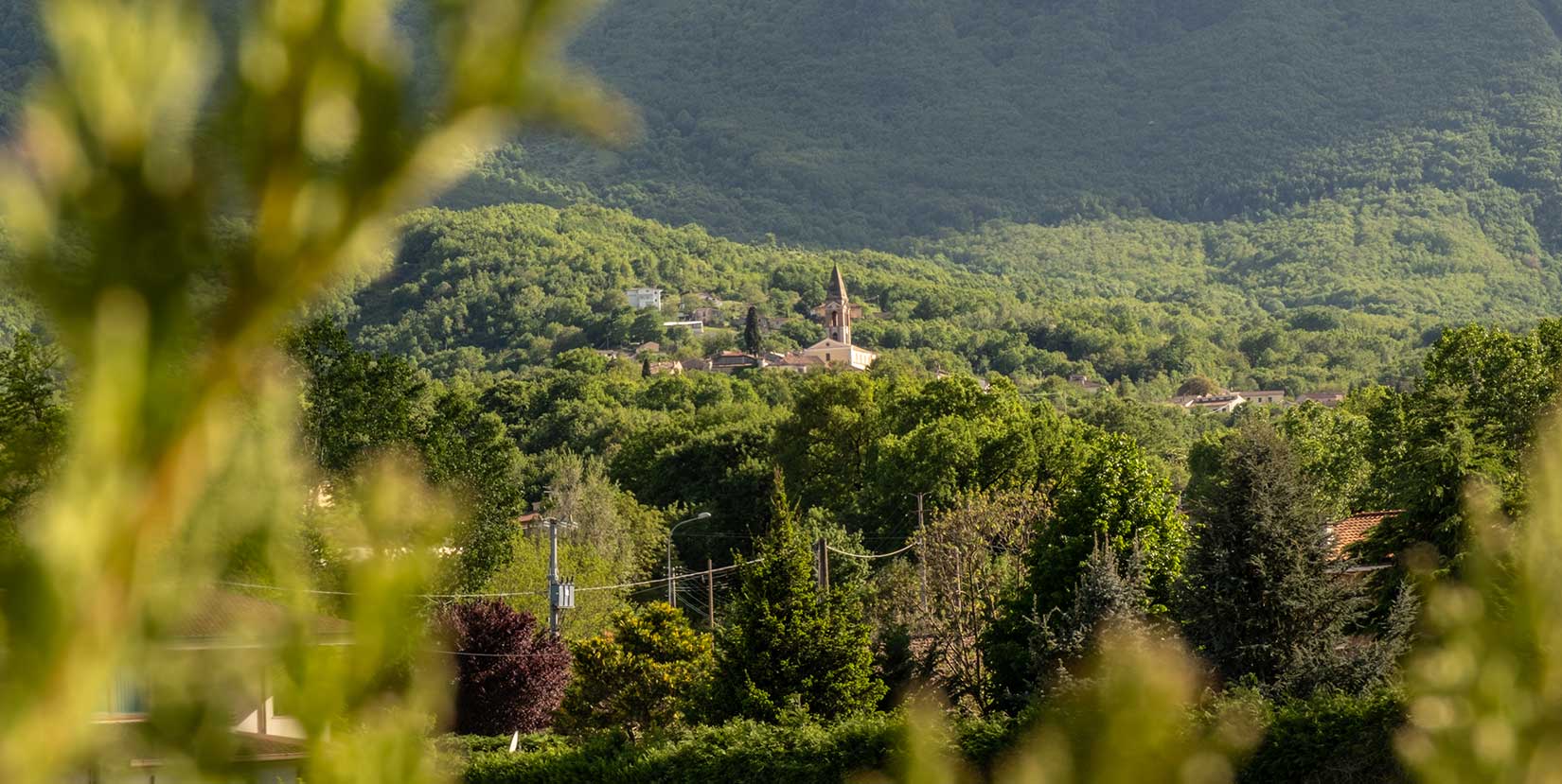 Velum House B&B - Nei dintorni
