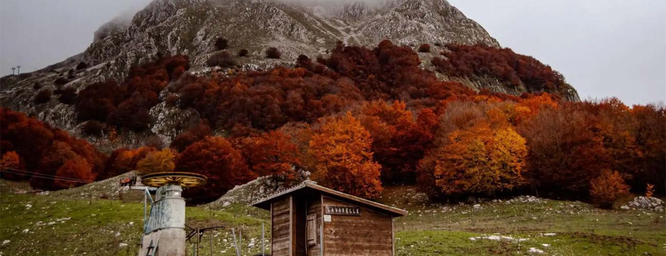 "Foliage" in Molise