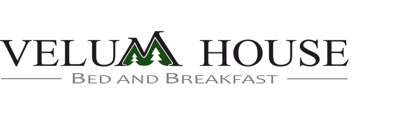 logo principale
