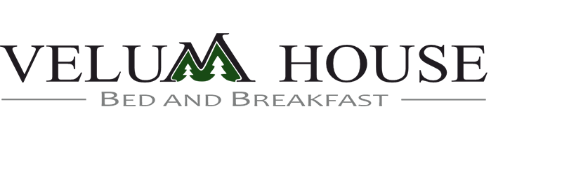 logo main